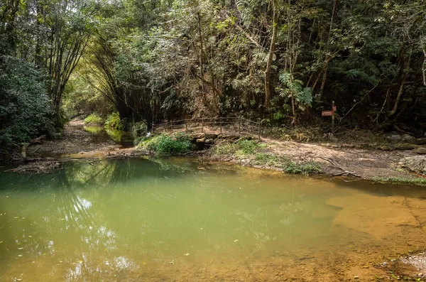 tropical river with green lush forest