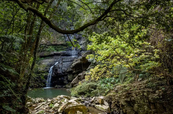 Wasserfall mit See im tropischen Wald — Stockfoto