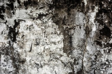 küflenmiş duvar arka plan