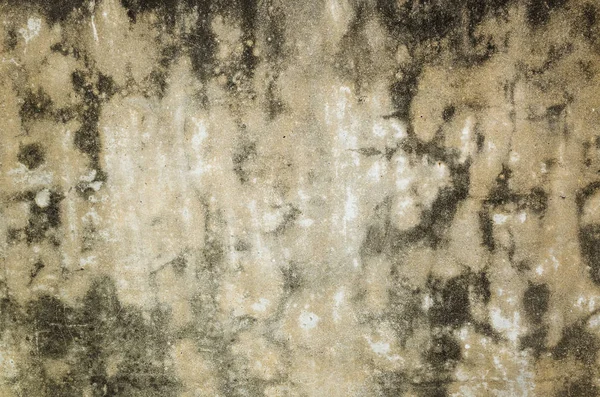 Фон стены из плесени — стоковое фото