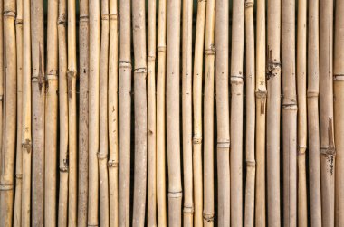 sarı bambu duvar arka plan