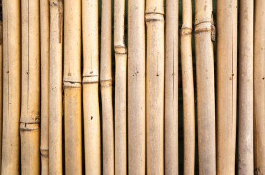 sarı bambu duvar arka plan