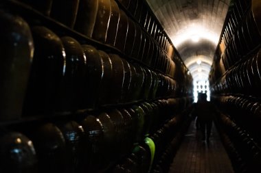 fermente alkollü içecek satırları