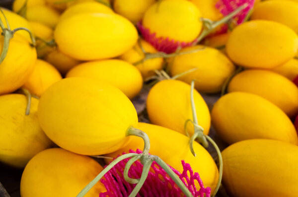 yellow tropical fruit of canistel