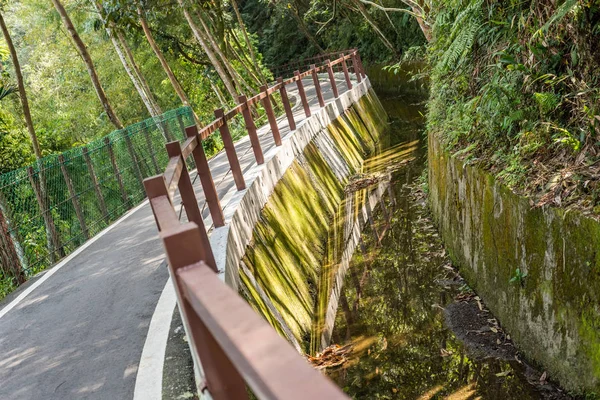 誰もが付いている木で小さな道路 — ストック写真