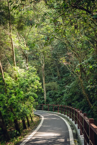 Piccola strada da alberi con nessuno — Foto Stock