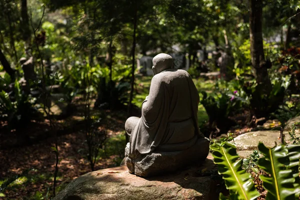 Pietra rovinata statua di Arhat nella foresta — Foto Stock