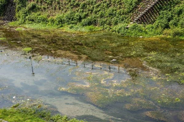 Witte zilverreiger staan op de sloot in de stad — Stockfoto