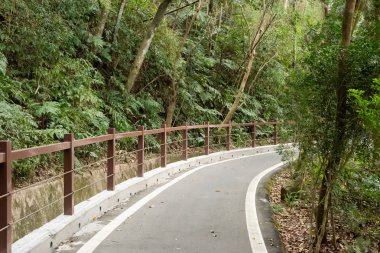 kimse ile ağaçların yanında küçük yol