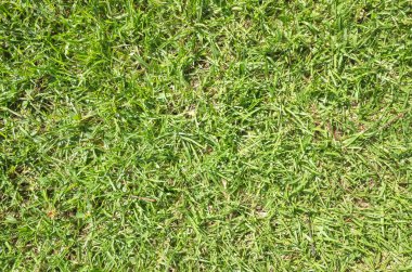 otlak doku arka plan