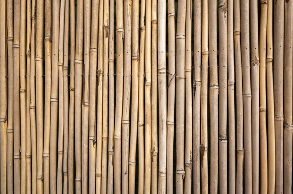 Yellow bamboo wall background — Stock Photo, Image