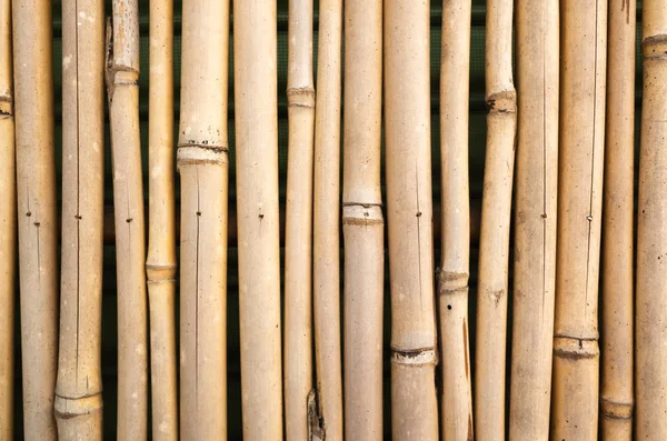 Fundo de parede de bambu amarelo — Fotografia de Stock