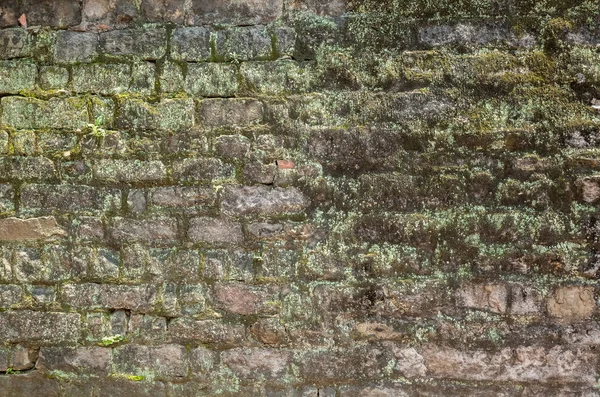 Moisture aged cement brick wall background — Stock Photo, Image