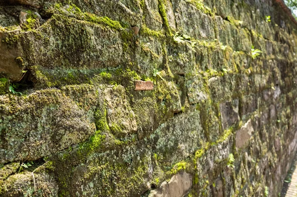 Moisture aged cement brick wall background — Stock Photo, Image