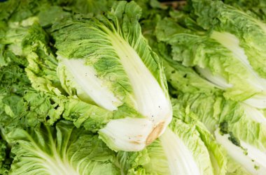 Çin lahanası geleneksel Pazar Alanı