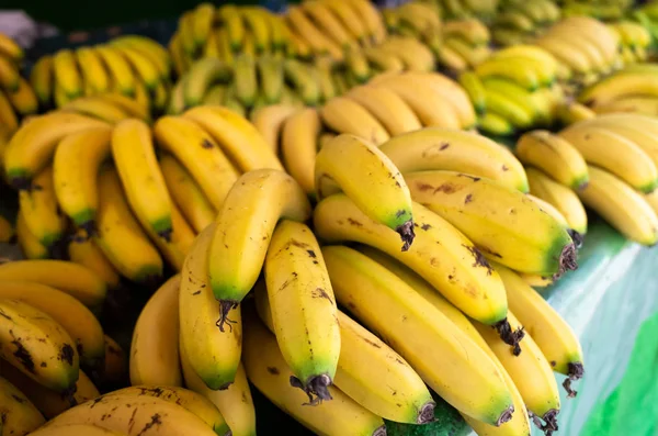 Fruta de banana empilhada no mercado — Fotografia de Stock