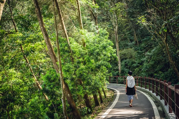 Путешествующая женщина ходить по дороге в лесу — стоковое фото