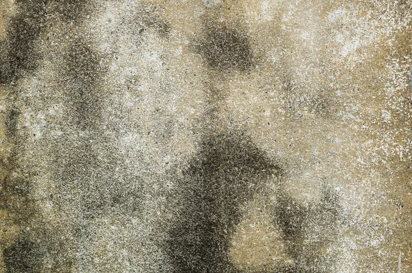 Фон стены из плесени — стоковое фото