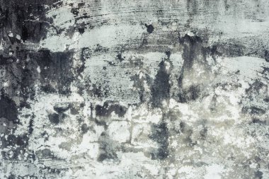 küflenmiş duvar arka plan