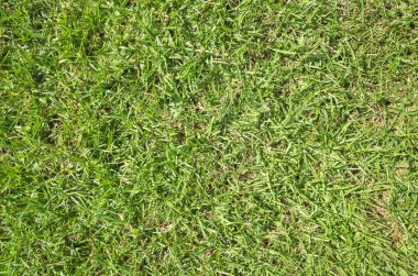 otlak doku arka plan