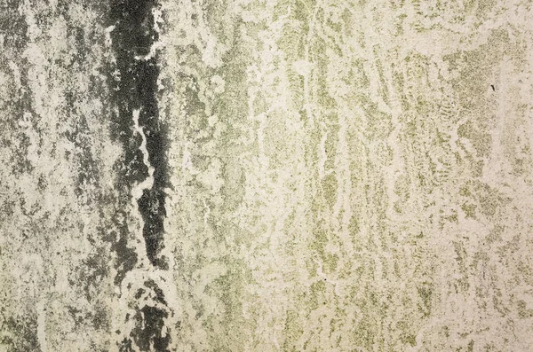 Duvarda yosun ile arka plan — Stok fotoğraf