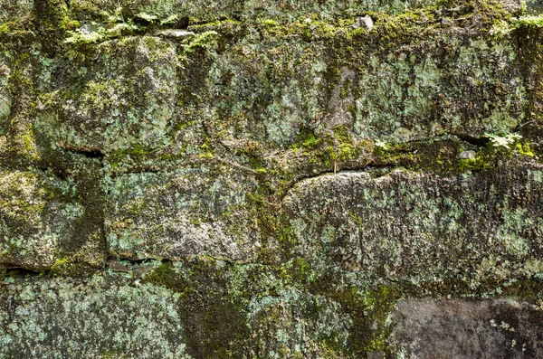 moisture aged cement brick wall background