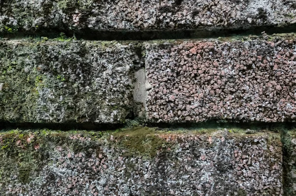 Mur de briques de pierre brute avec lichen et mousse — Photo