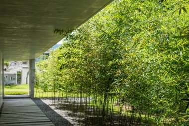 Yuhsiu Müzesi Sanat bambu ağacı ile koridor