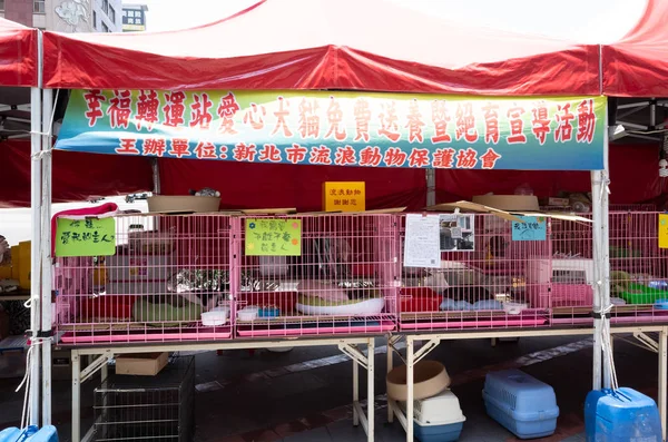 Organizzazione per l'adozione di animali con cani e gatti per strada — Foto Stock