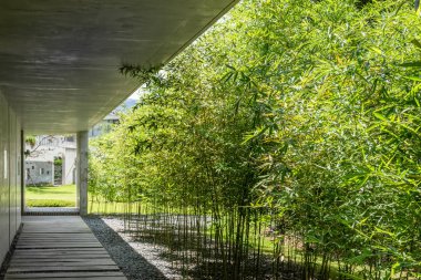 Yuhsiu Müzesi Sanat bambu ağacı ile koridor