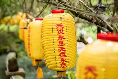 Xian fo Budist tapınağında sarı fenerler