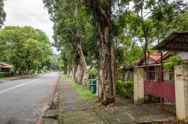 Zhongxing Yeni Köy sokak manzarası