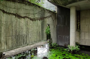 bir bahçede lotus gölet üzerinde yaprakları