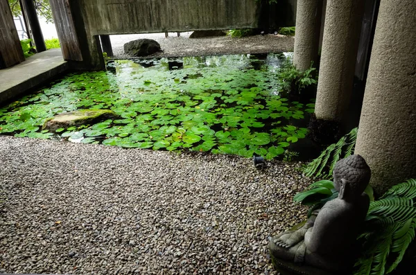 Leaves on lotus pond in a garden — Stock Photo, Image