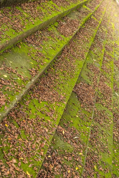 Green mossy stone stair steps background — Stock Photo, Image