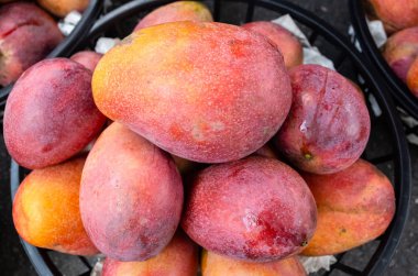 geleneksel pazarda bir sepet içinde mango meyve