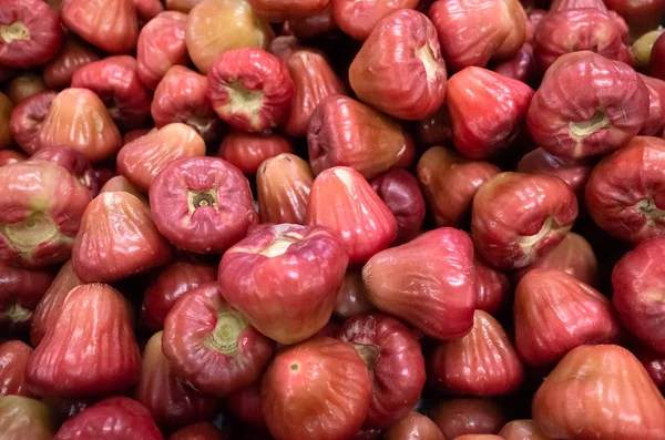 Fresh wax apple fruit — Stock Photo, Image