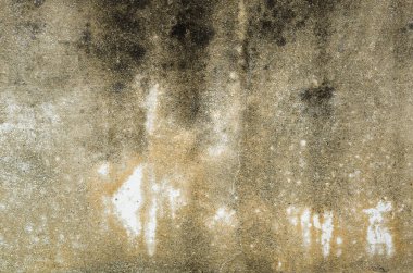 küflenmiş duvar arka plan