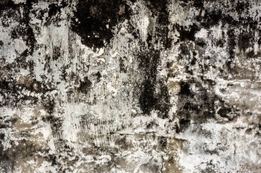 küflenmiş duvar arka plan