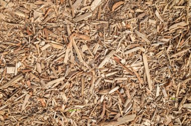 ağaç ve kereste talaş