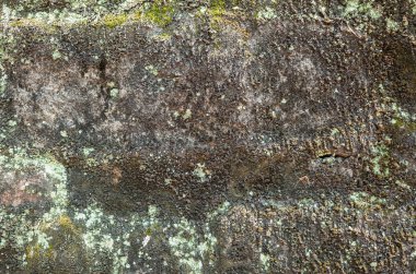 nem yaşlı çimento tuğla duvar arka plan