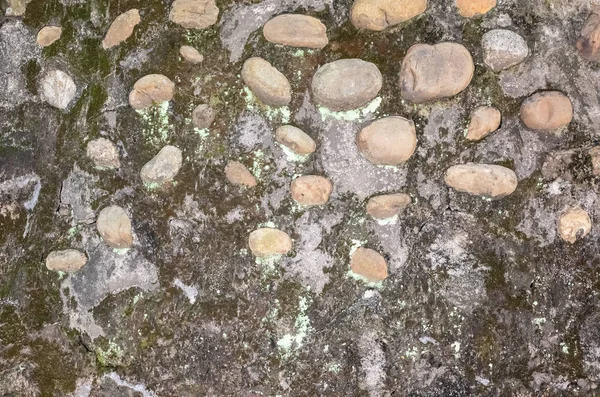 Fukt åldrad cement tegelvägg bakgrund — Stockfoto