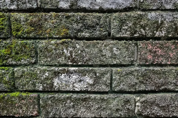 Груба кам'яна цегляна стіна з лишайником і мохом — стокове фото