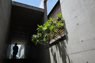 Yuhsiu Müzesi Sanat ünlü Landmark bina