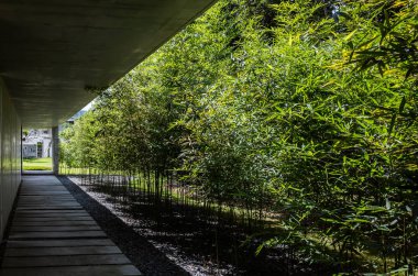 Yuhsiu Müzesi Sanat bambu ağacı ile koridor