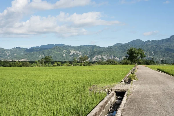 农村景观 — 图库照片