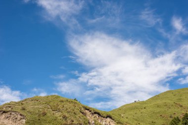 mavi gökyüzü altında yeşil otlak
