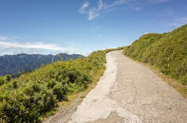 mavi gökyüzü altında yeşil otlak ile yol