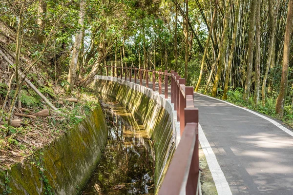 Kimse ile ağaçların yanında küçük yol — Stok fotoğraf