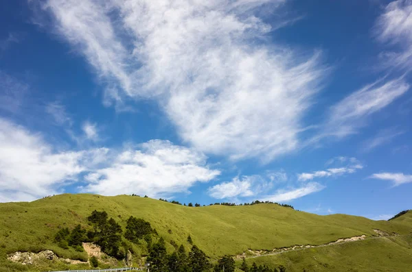 Prados verdes sob céu azul — Fotografia de Stock